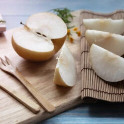 20th Century (Nijisseiki) Asian Pear 8 20th Century (Nijisseiki) Asian Pear -Fast Growing Trees 20thCentury Pear 1 FGT