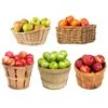 5-in-1 Apple Tree 1 5-in-1 Apple Tree -Fast Growing Trees 5 in 1 Apple 600x600 7aa95aa9 ebc1 4f49 a1e8 94e9b1d7155c