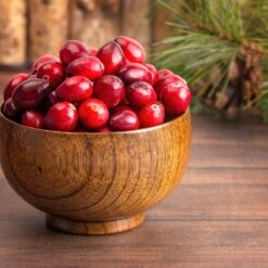 American Cranberry 13 American Cranberry -Fast Growing Trees American Cranberry 6 FGT