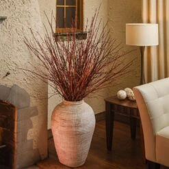 Arctic Fire® Red Twig Dogwood 12 Arctic Fire® Red Twig Dogwood -Fast Growing Trees Arctic Fire Twig Dogwood 6 FGT