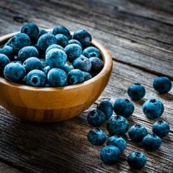 Aurora Blueberry Bush - USDA Organic -Fast Growing Trees Aurora Blueberry 4 dc5a7e17 d7e4 4799 b1b9 177f422f6847