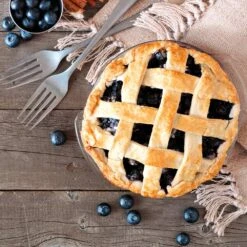 Aurora Blueberry Bush 13 Aurora Blueberry Bush -Fast Growing Trees Aurora Blueberry 5