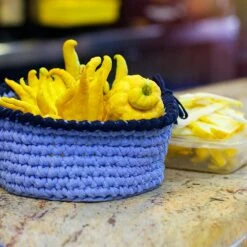 Buddha's Hand Citron Tree 11 Buddha's Hand Citron Tree -Fast Growing Trees BUddhas Hand Citrus 6 FGT 8e440ac0 ef1a 452e 8576 5c1e7bf4eb5a