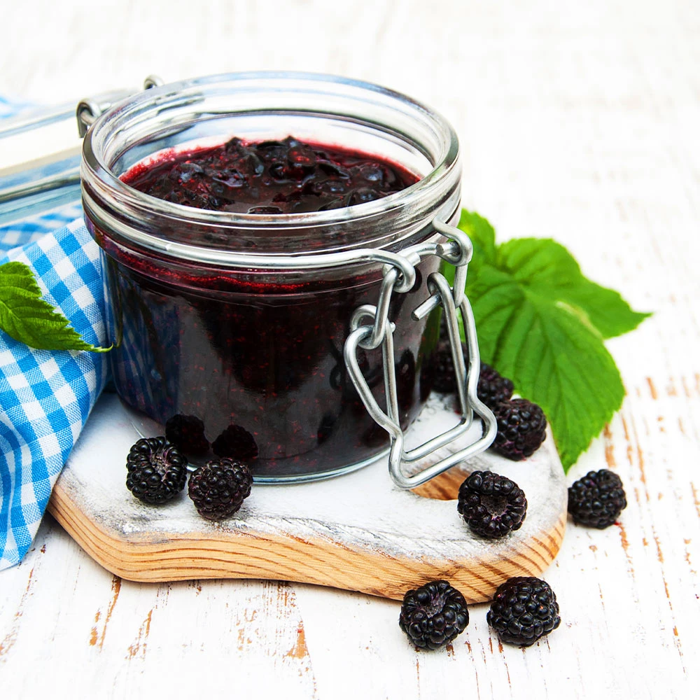 Big Daddy Blackberry Bush 6 Big Daddy Blackberry Bush - Image 4