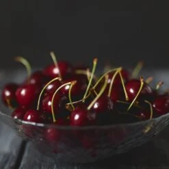 Black Tartarian Cherry Tree 10 Black Tartarian Cherry Tree -Fast Growing Trees Black Tartarian Cherry Tree 2 FGT