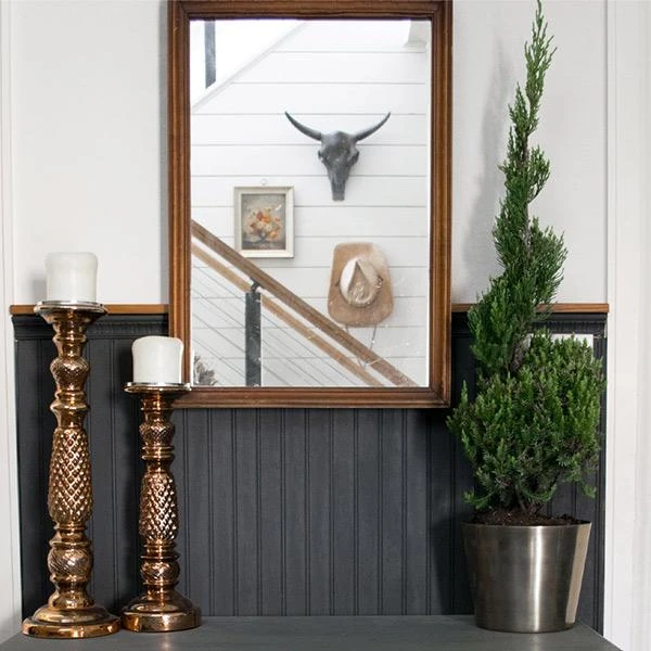 Blue Point Spiral Juniper Gift Plant 3 Blue Point Spiral Juniper Gift Plant