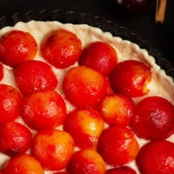 Bubblegum 'Toka' Plum Tree 11 Bubblegum 'Toka' Plum Tree -Fast Growing Trees Bubblegum Toka Plum 3