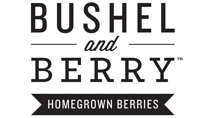 Bushel And Berry® Blueberry Glaze™ Blueberry Bush 5 Bushel And Berry® Blueberry Glaze™ Blueberry Bush - Image 3