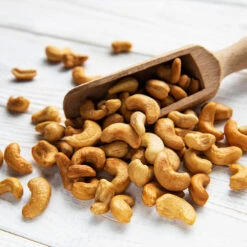 Cashew Tree 12 Cashew Tree -Fast Growing Trees Cashew Nut Tree 5