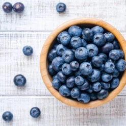 Climax Blueberry - USDA Organic 13 Climax Blueberry - USDA Organic -Fast Growing Trees Climax Blueberry 4 6dff9fe5 d11c 4867 ac6f bf49cd37acb5