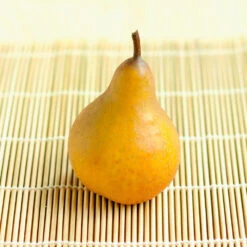 Comice Pear Tree 10 Comice Pear Tree -Fast Growing Trees Comice Pear 2 FGT bed8e3b3 6b31 43c6 9eb7 82aa992926bb