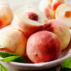 Early White Giant Peach Tree 7 Early White Giant Peach Tree -Fast Growing Trees Early White Giant Peach Tree 450 D1