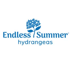 Endless Summer® Summer Crush® Hydrangea 15 Endless Summer® Summer Crush® Hydrangea -Fast Growing Trees Endless Summer Hydrangeas 1000x1000 347a4889 45a5 42f4 94f1 e0220955e380