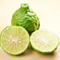 Kaffer 'Kieffer' Lime Tree 10 Kaffer 'Kieffer' Lime Tree -Fast Growing Trees Kaffir Lime 7 FGT