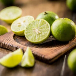 Key Lime Tree 13 Key Lime Tree -Fast Growing Trees Key Lime Tree 5 FGT