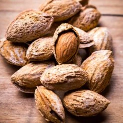 Nonpareil Almond Tree -Fast Growing Trees Nonpareil Almonds 3