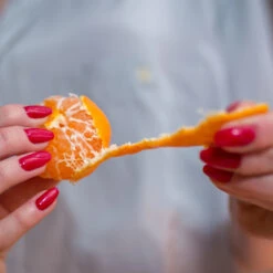 Nules Clementine Bush 8 Nules Clementine Bush -Fast Growing Trees Nules Clementine 3 FGT 8b9abee7 a321 49f5 98c0 01db9061b5ac