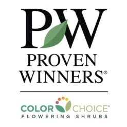 Wine & Roses® Weigela Shrub 11 Wine & Roses® Weigela Shrub -Fast Growing Trees PW Logo CC 1000x1000 037894e9 e570 45f9 bb8a 2ce48bb09ea2