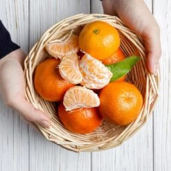 Page Mandarin Tree 9 Page Mandarin Tree -Fast Growing Trees Page Mandarin Tree 2 FGT