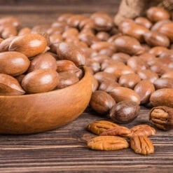 Pawnee Pecan Tree 9 Pawnee Pecan Tree -Fast Growing Trees Pawnee Pecan 4 FGT