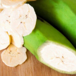 Puerto Rican Plantain Banana Tree 12 Puerto Rican Plantain Banana Tree -Fast Growing Trees Puerto Rican Plantain Banana Tree 3