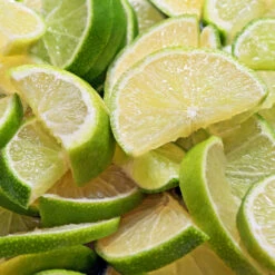 Persian 'Bearss' Lime Bush 10 Persian 'Bearss' Lime Bush -Fast Growing Trees Pursian Lime Bush 1 FGT 8e948345 4f0b 4e96 a96f a17b7b31b7ab