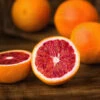 Sanguinelli Blood Orange Tree 2 Sanguinelli Blood Orange Tree -Fast Growing Trees Sanguinelli Blood Orange FGT 600x600 7a7de938 a6c5 4521 84f8 c031e9f36cc2