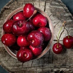 Santina™ Cherry Tree 8 Santina™ Cherry Tree -Fast Growing Trees Santina Cherry 1