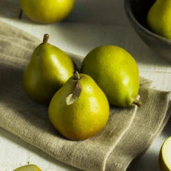 Seckel Pear Tree -Fast Growing Trees Seckel Pear 5