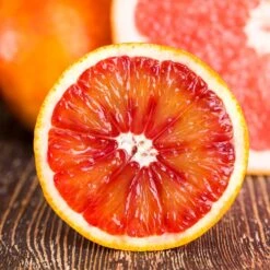 Fast Growing Trees -Fast Growing Trees Smith Red Orange 8 FGT