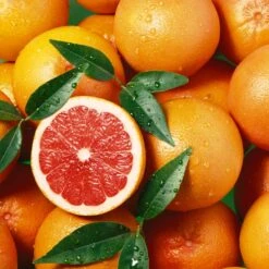 Star Ruby Grapefruit Tree 7 Star Ruby Grapefruit Tree -Fast Growing Trees Star Grapefruit 2