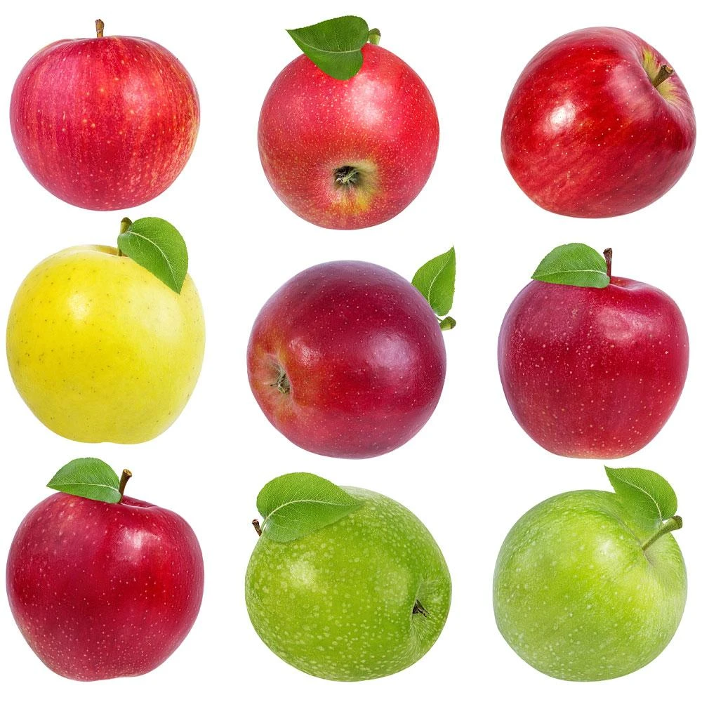 5-in-1 Apple Surprise Tree 4 5-in-1 Apple Surprise Tree - Image 2