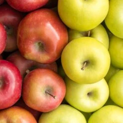 2-in-1 Apple Surprise Tree 8 2-in-1 Apple Surprise Tree -Fast Growing Trees Surprise Apple 1 5277609f 2a1f 491f 804c c001e47d74ac