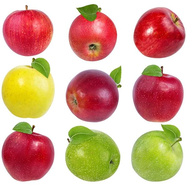 5-in-1 Apple Surprise Tree 3 5-in-1 Apple Surprise Tree