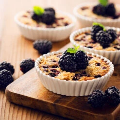 Thornless Blackberry 9 Thornless Blackberry -Fast Growing Trees Thornless Blackberry 2