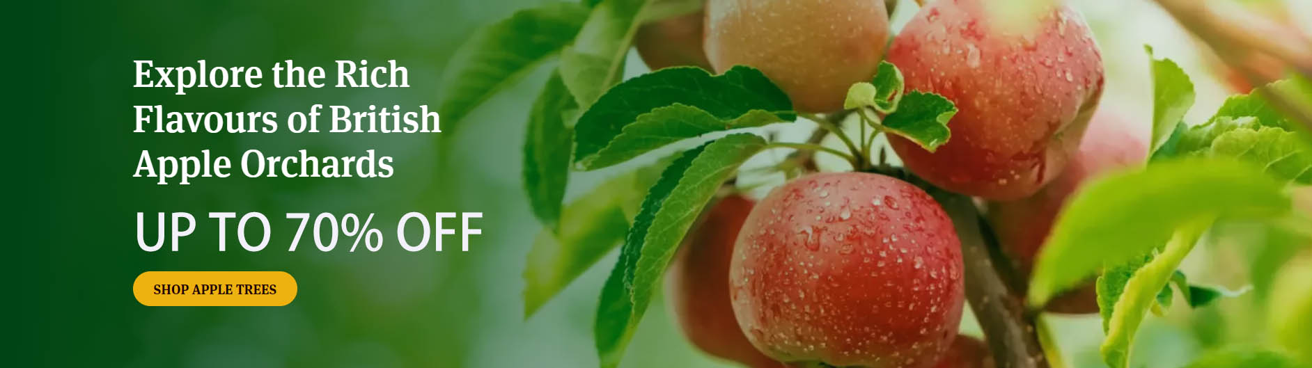 Fast Growing Trees -Fast Growing Trees SFRS